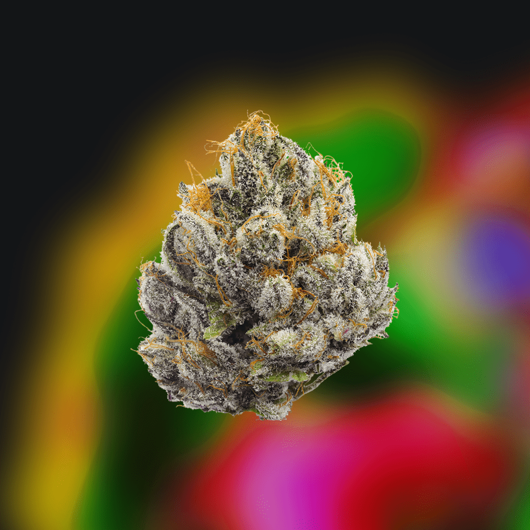 Gak Smoovie — 710 Labs